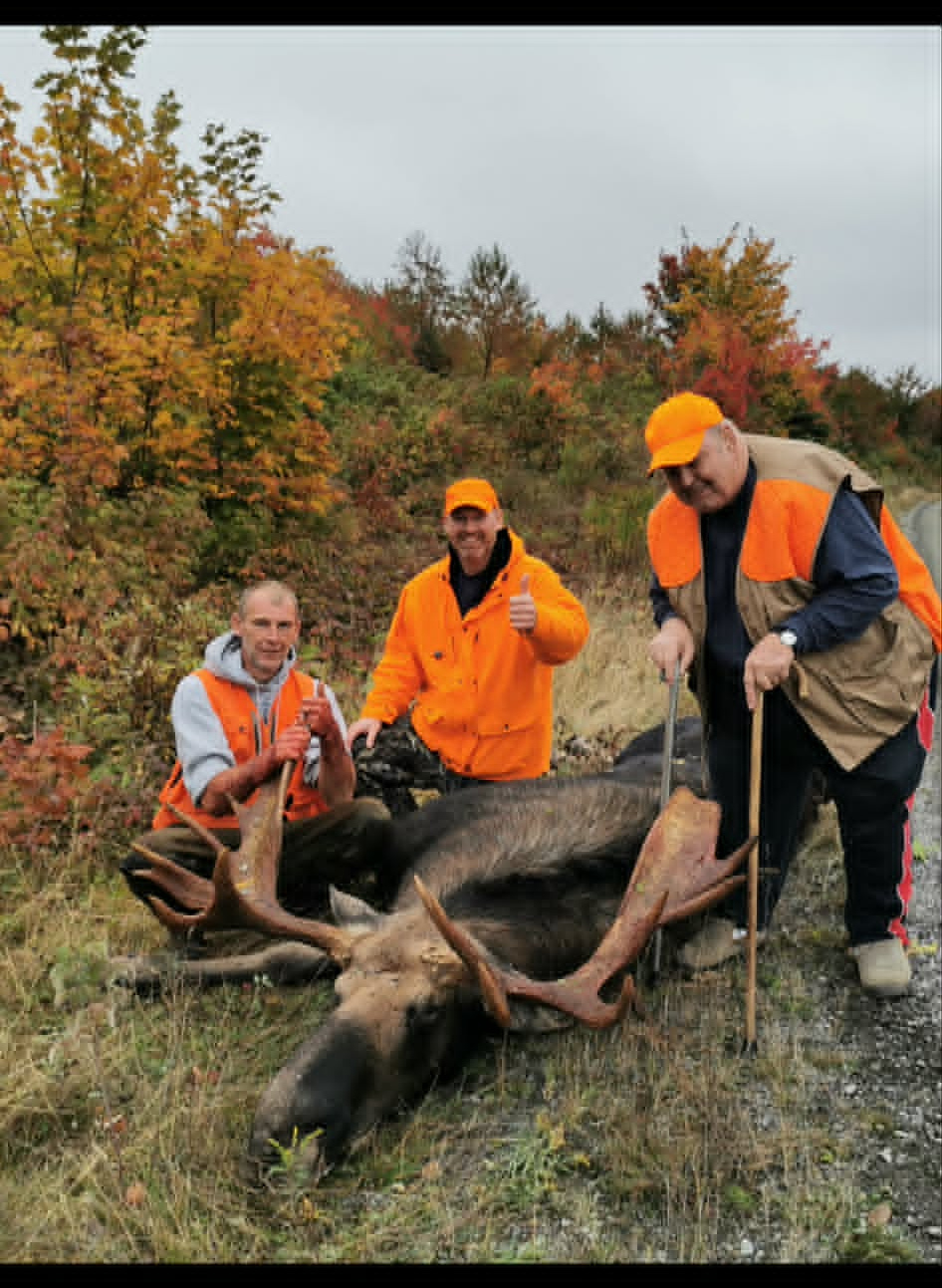 Group of hunters with a harvested moose in the fall woods