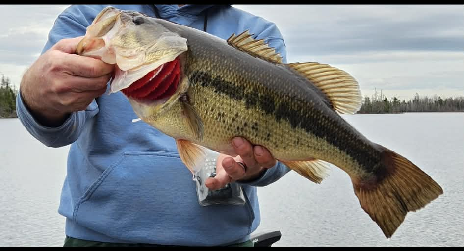 Angler holding a largemouth bass on the lake